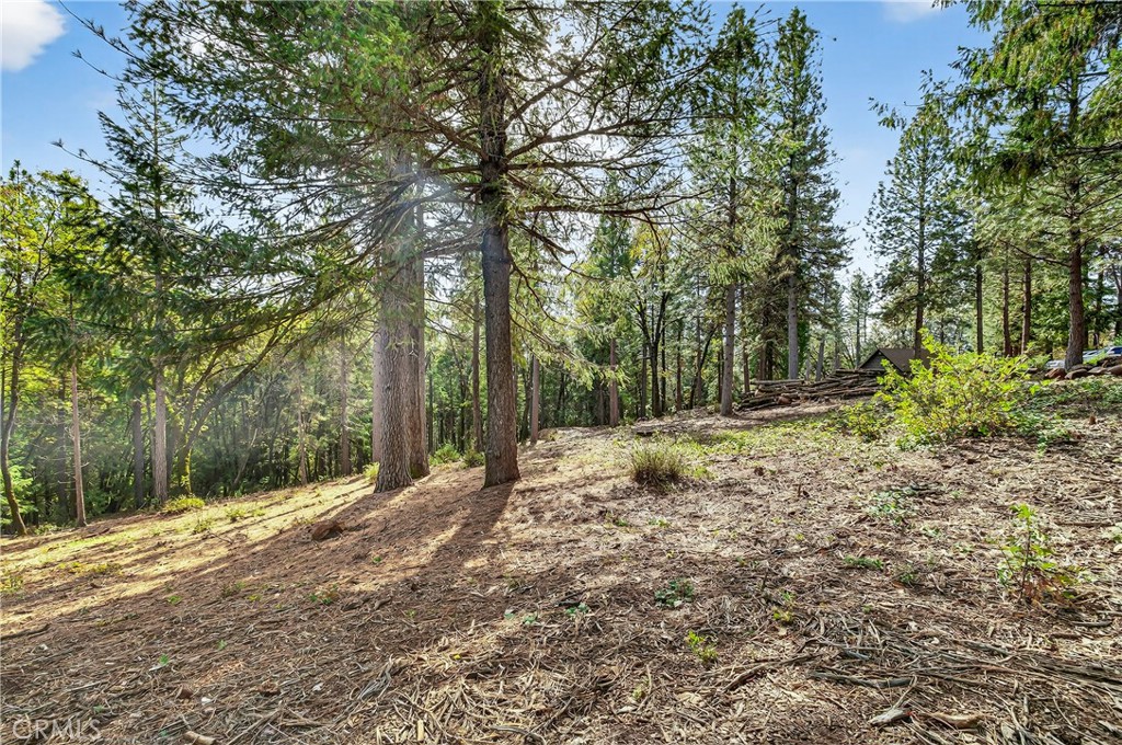 0 Cedar Creek Property Photo 10