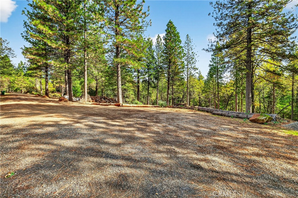 0 Cedar Creek Property Photo 11