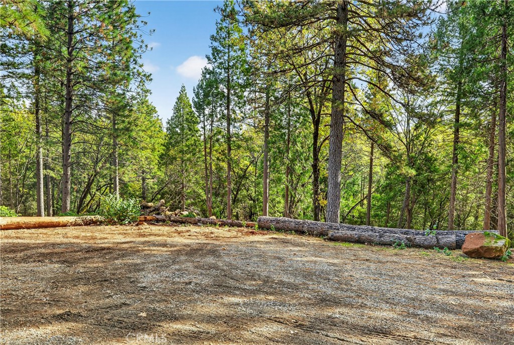 0 Cedar Creek Property Photo 12