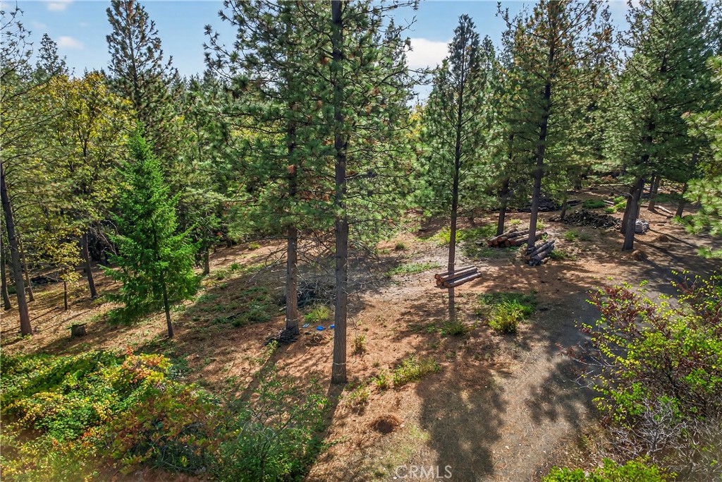 0 Cedar Creek Property Photo 13