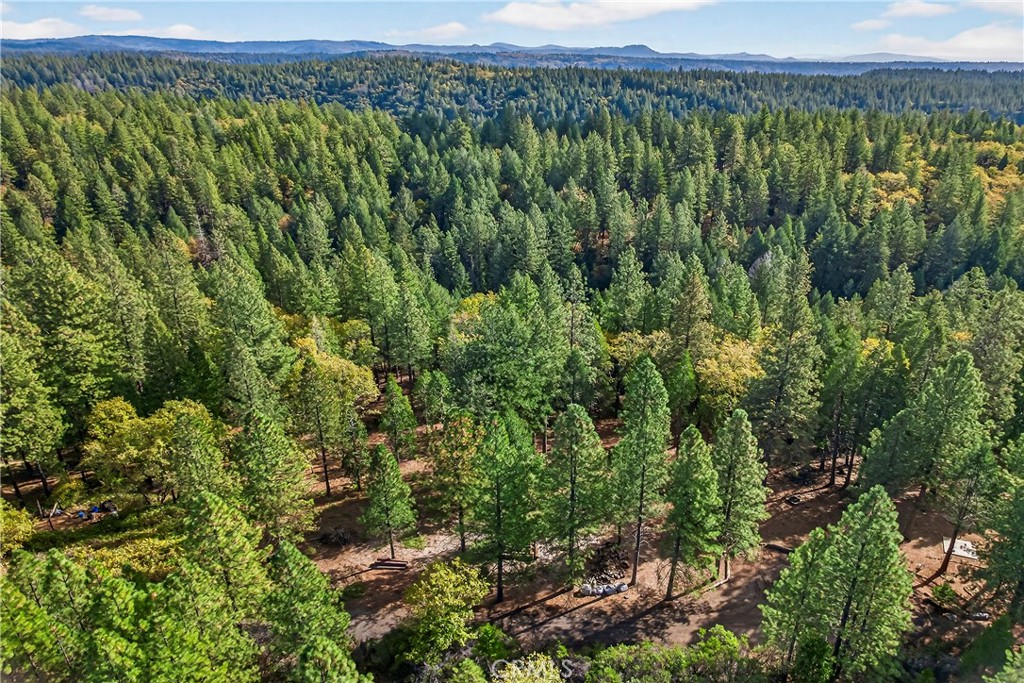 0 Cedar Creek Property Photo 14