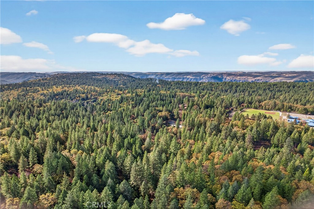 0 Cedar Creek Property Photo 15