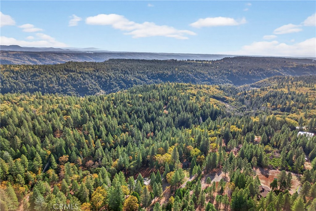 0 Cedar Creek Property Photo 17