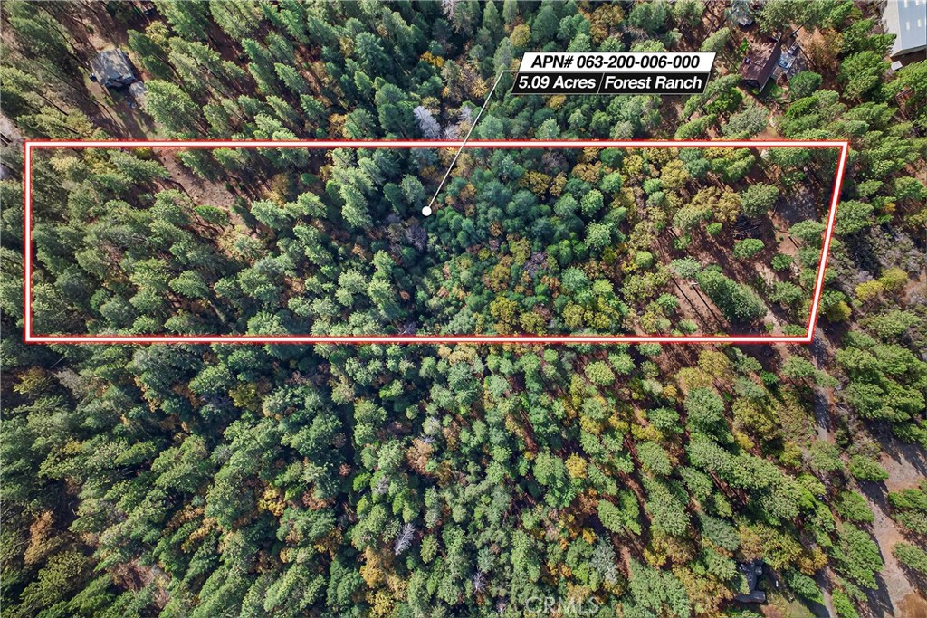 0 Cedar Creek Property Photo 18