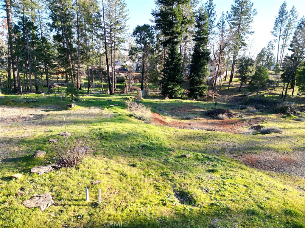 13788 Ferguson Property Photo 3
