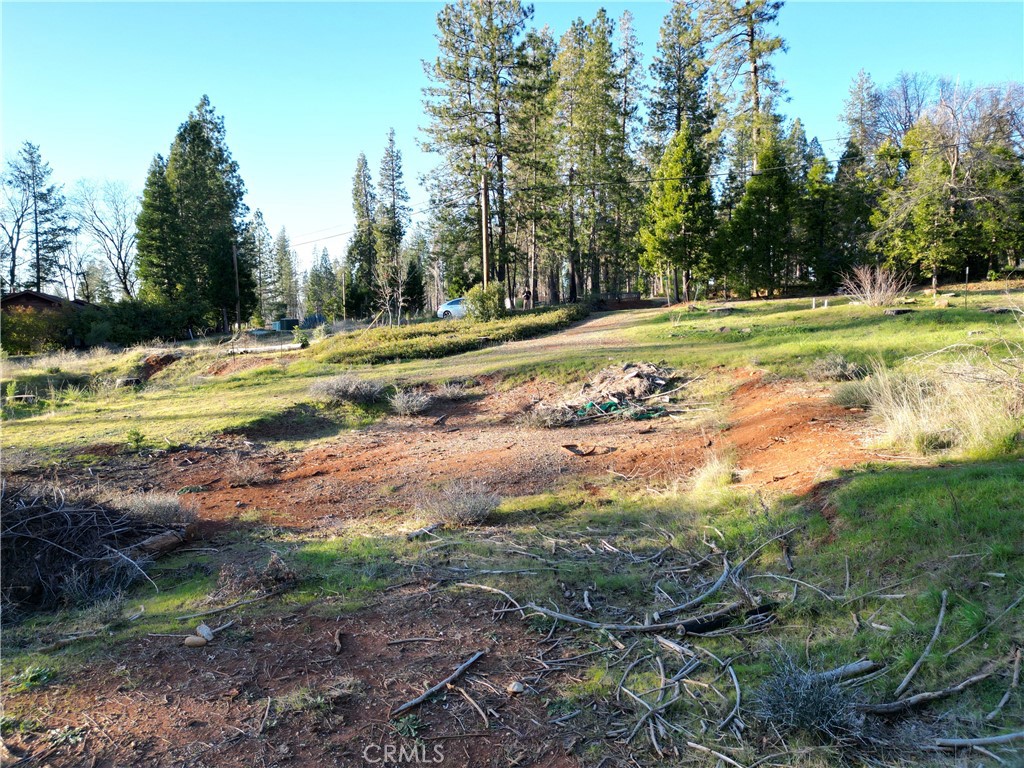 13788 Ferguson Property Photo 7