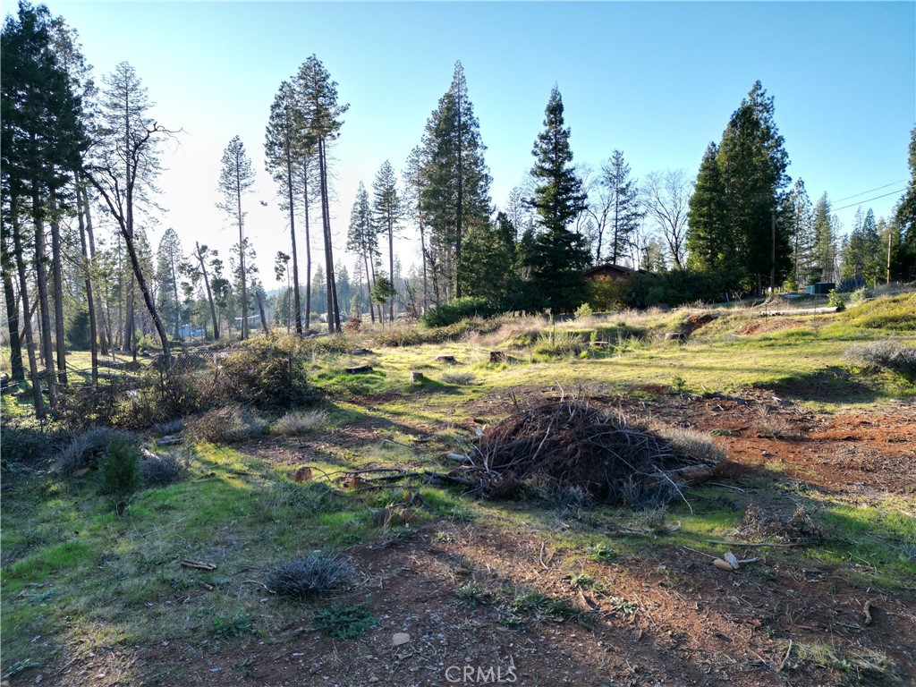 13788 Ferguson Property Photo 8
