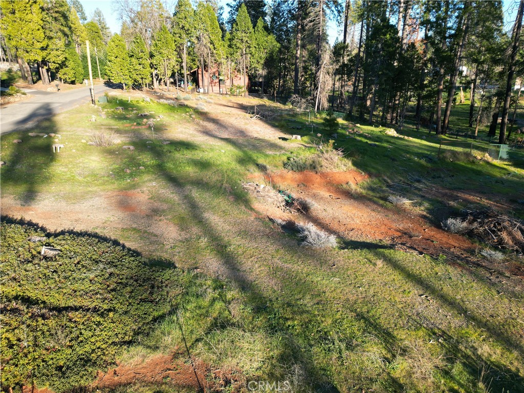 13788 Ferguson Property Photo 9