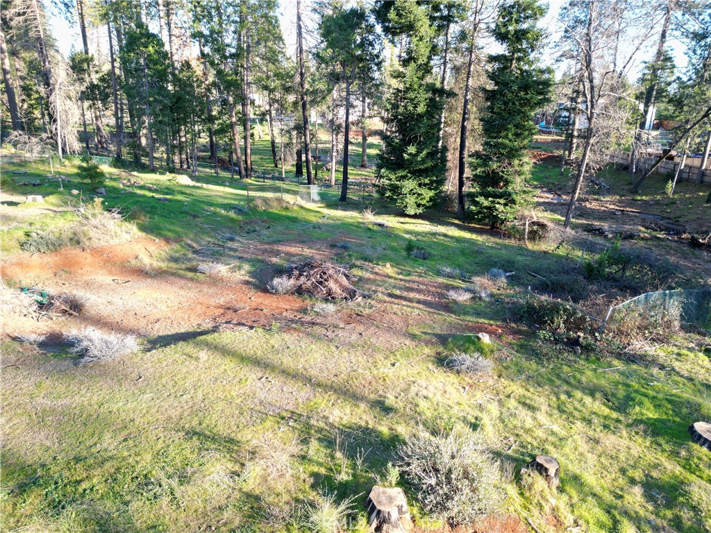 13788 Ferguson Property Photo 10