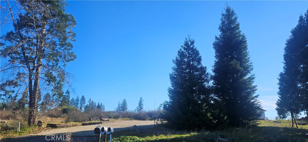 13694 W Park Property Photo 2