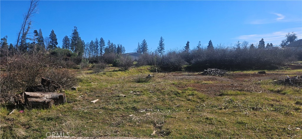 13694 W Park Property Photo 6