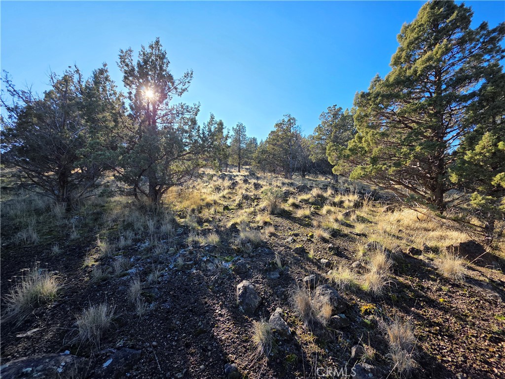 25 Quail Ridge Property Photo 1