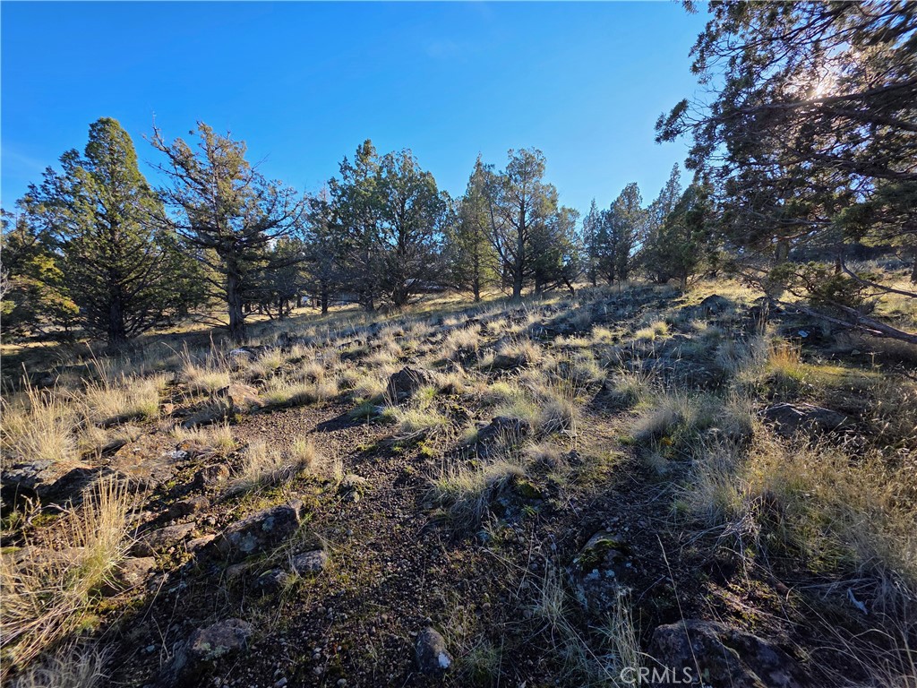 25 Quail Ridge Property Photo 2