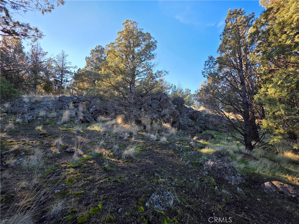 25 Quail Ridge Property Photo 3