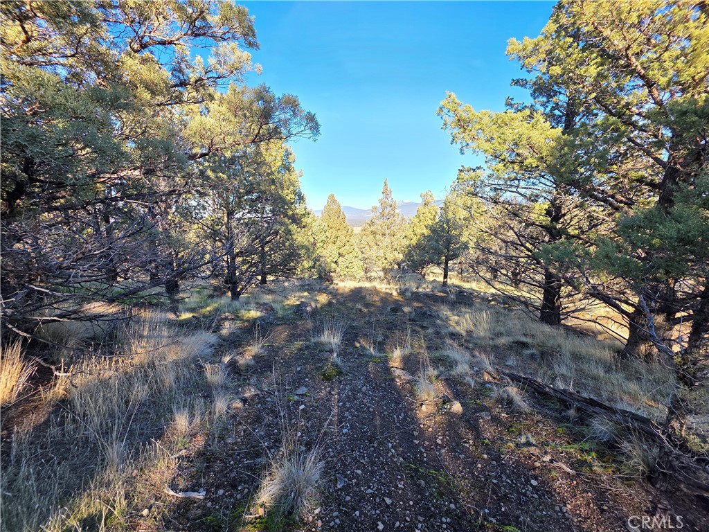 25 Quail Ridge Property Photo 4