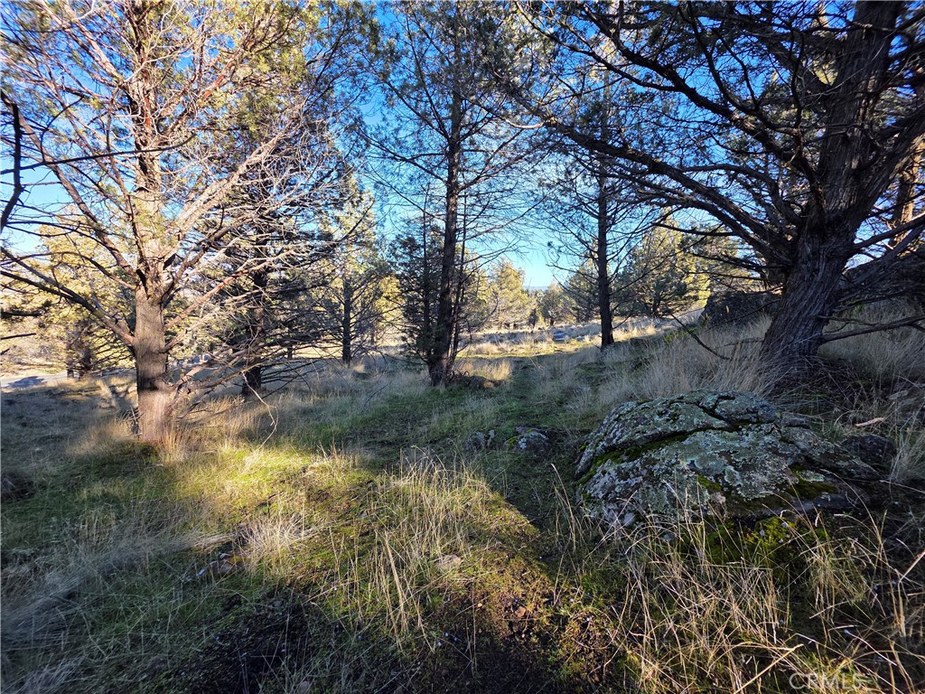 25 Quail Ridge Property Photo 5