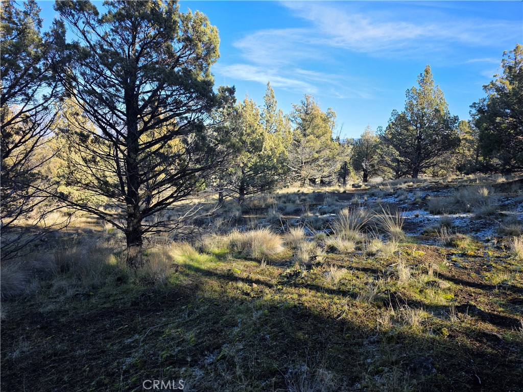 25 Quail Ridge Property Photo 6