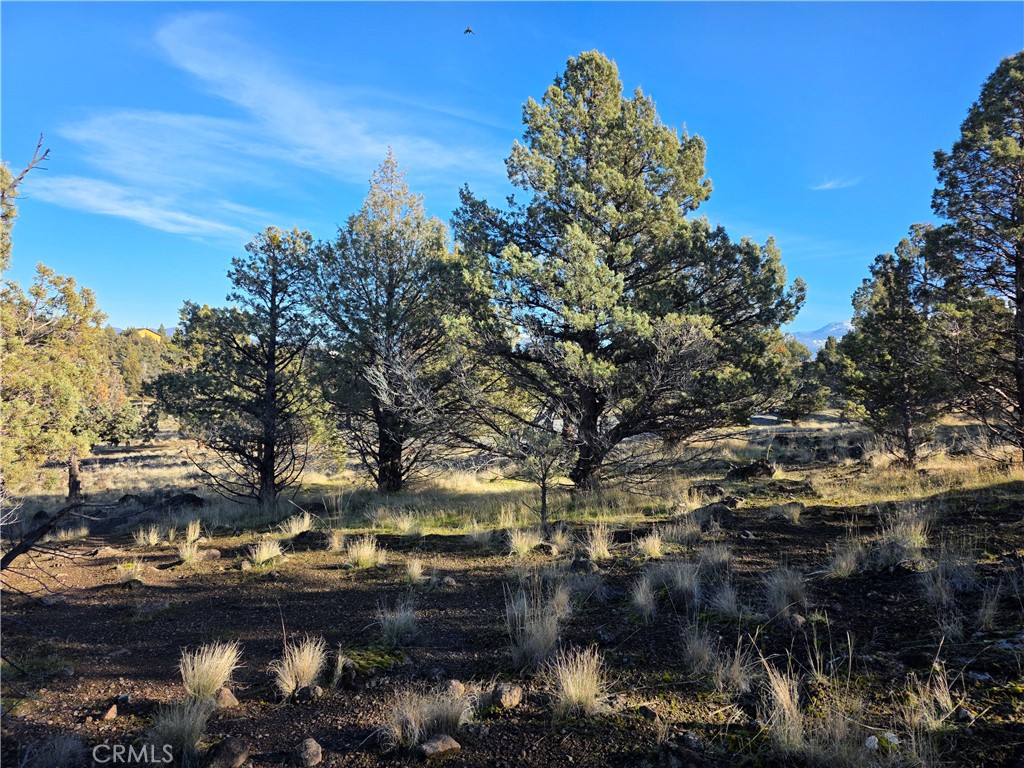 25 Quail Ridge Property Photo 8