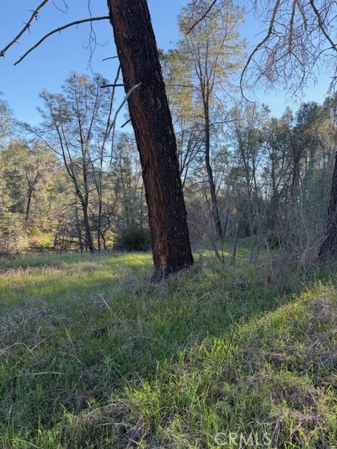 7098 Corral Property Photo 5