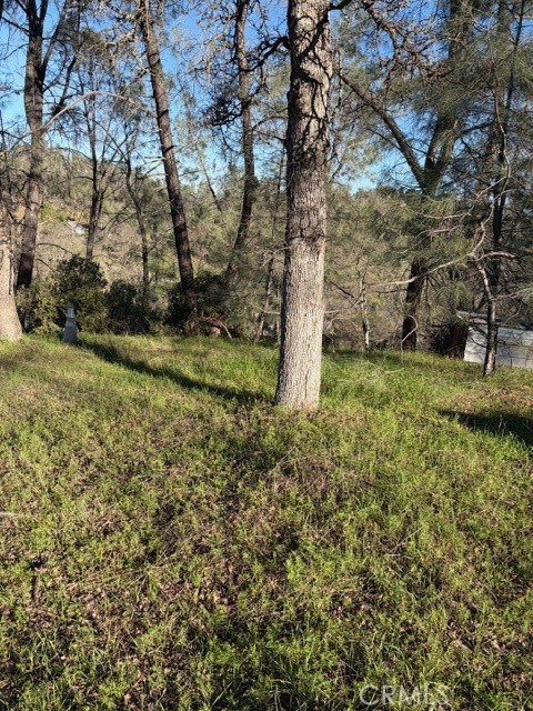 7098 Corral Property Photo 6