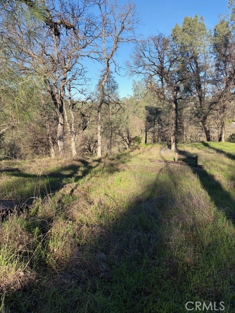 7098 Corral Property Photo 16