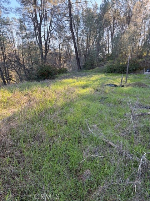 7098 Corral Property Photo 18