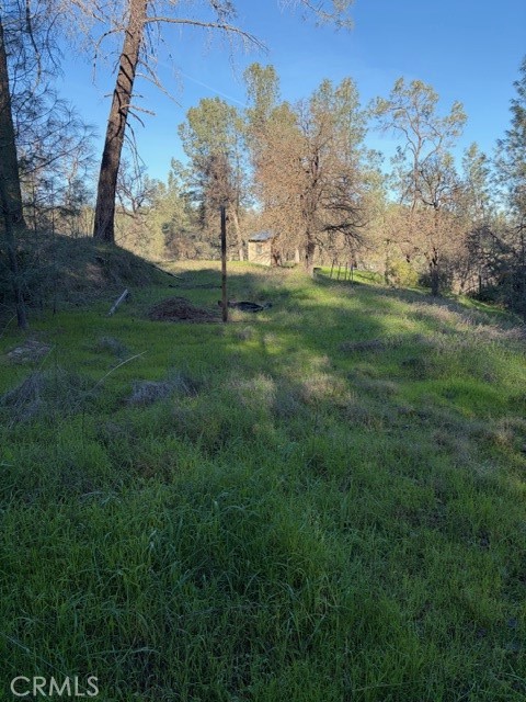 7098 Corral Property Photo 19