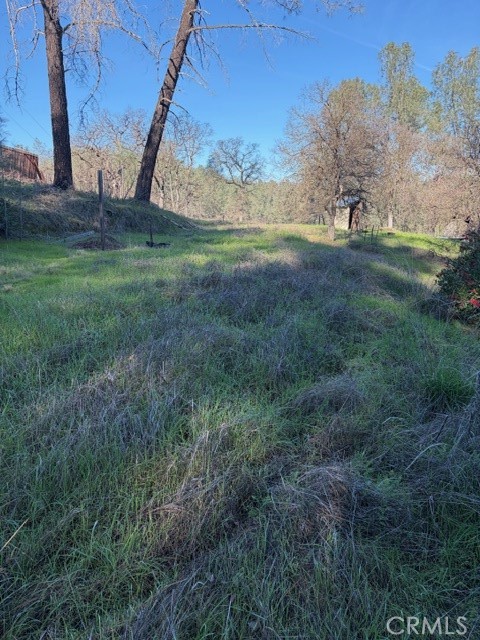 7098 Corral Property Photo 22