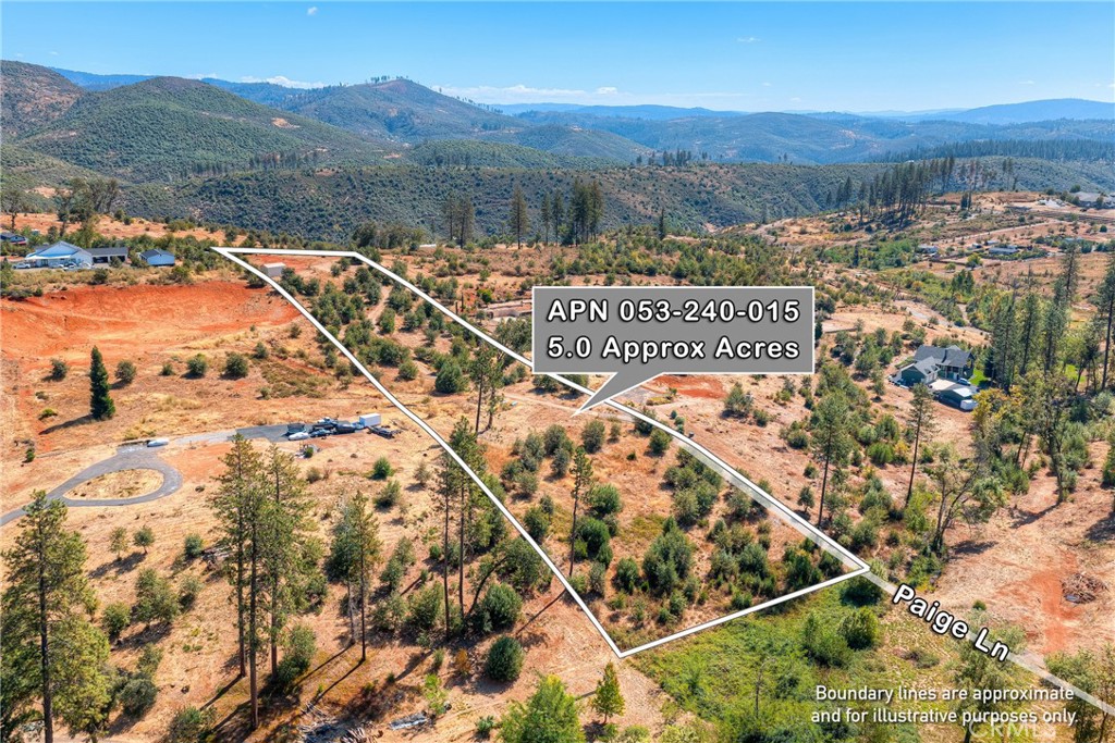 1905 Paige Lane Property Photo 6