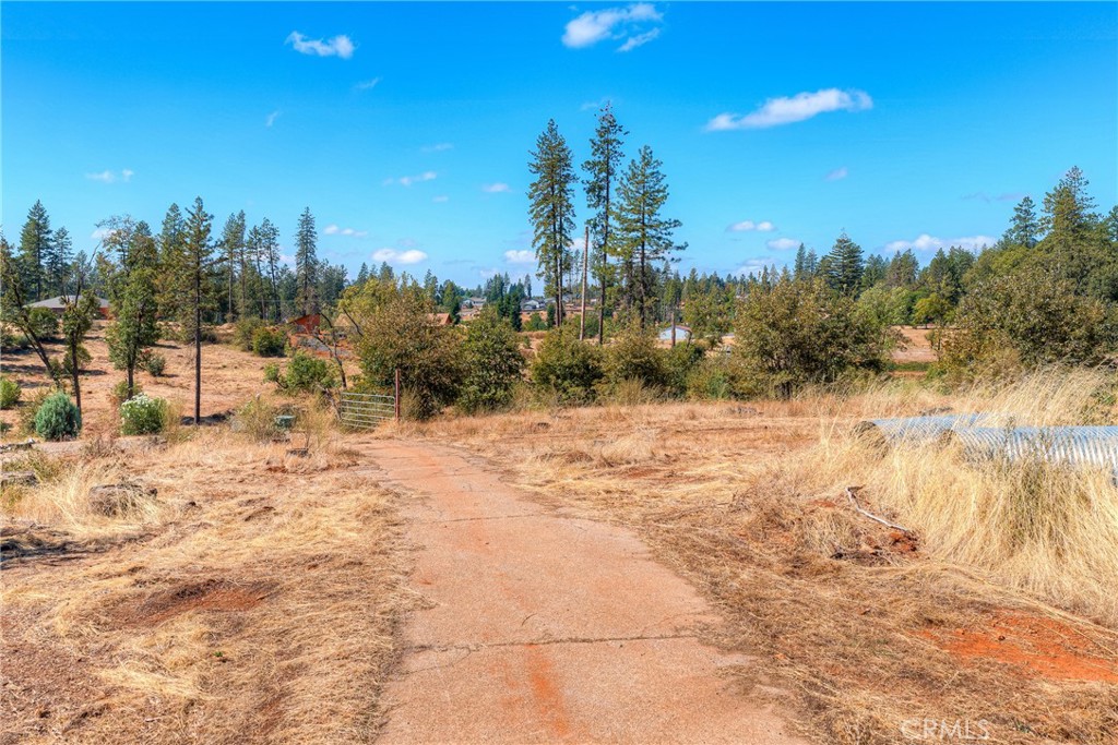 1905 Paige Lane Property Photo 10