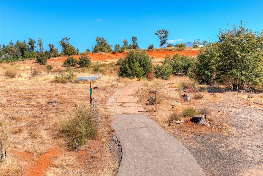 1905 Paige Lane Property Photo 11