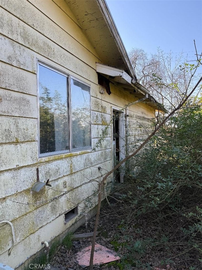 4085 County Road 203 Property Photo 22