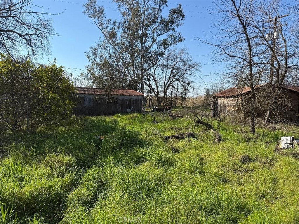 4085 County Road 203 Property Photo 25