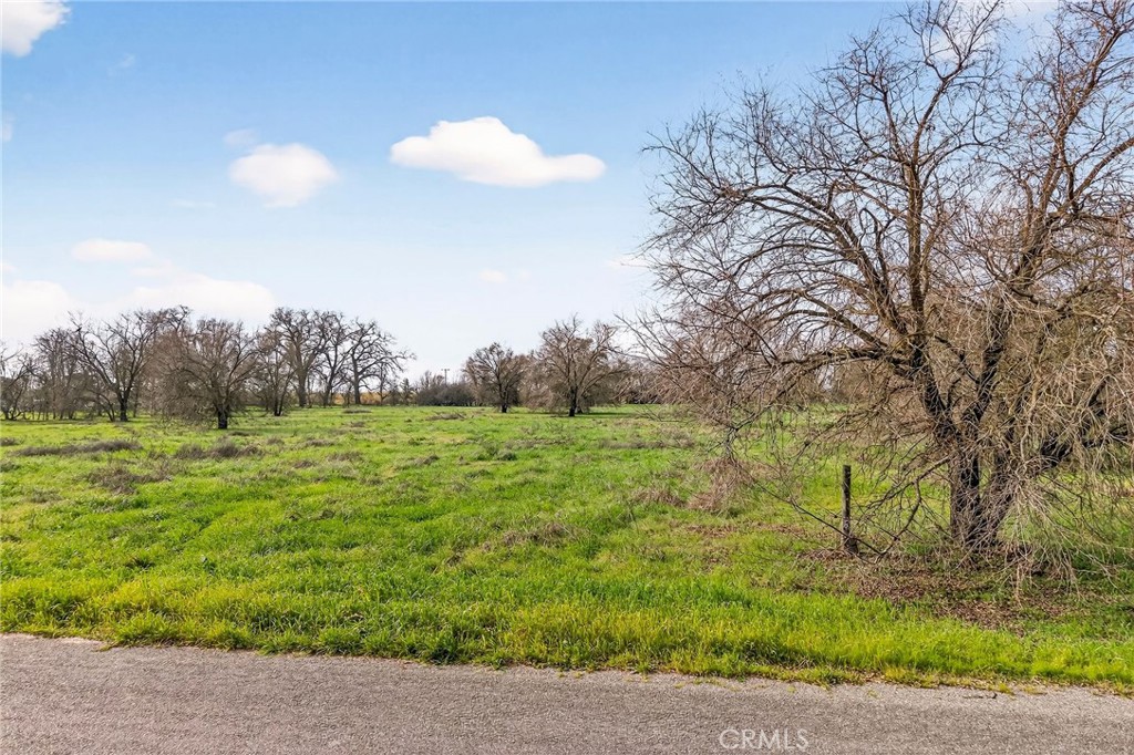 4085 County Road 203 Property Photo 27
