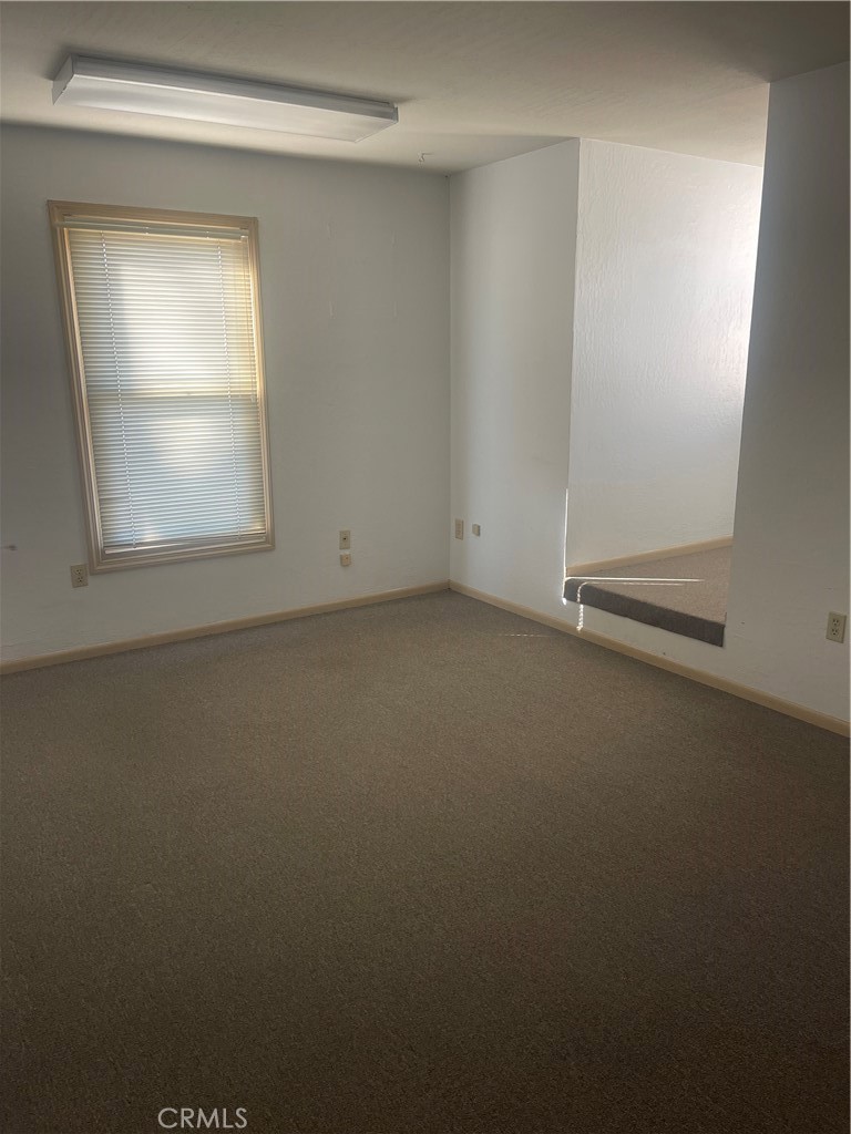 19 Williamsburg Property Photo 21