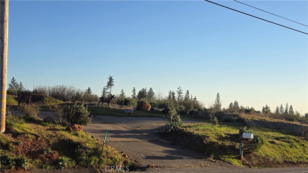13668 W Park Drive Property Photo 1