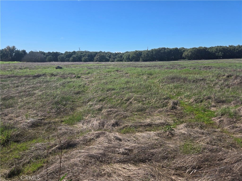 0 Brown Boulevard Property Photo 3
