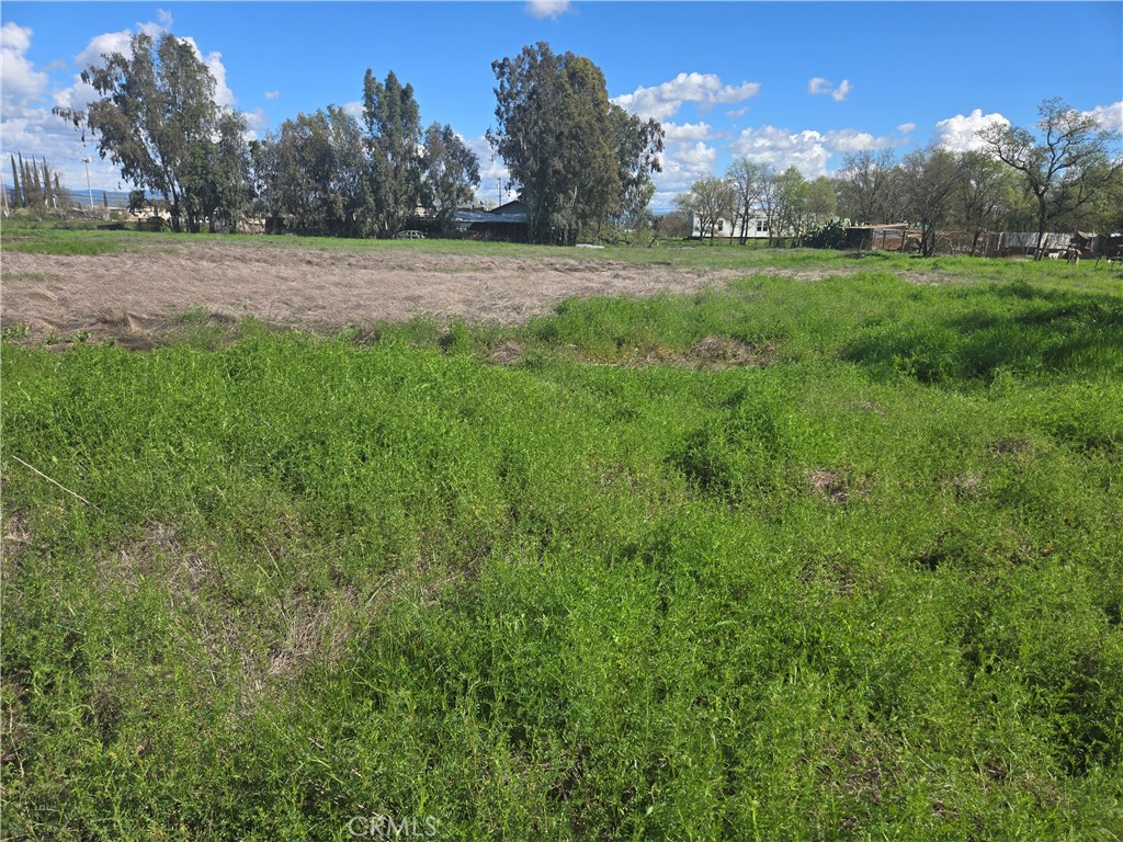 0 Brown Boulevard Property Photo 4
