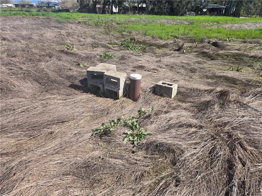 0 Brown Boulevard Property Photo 5