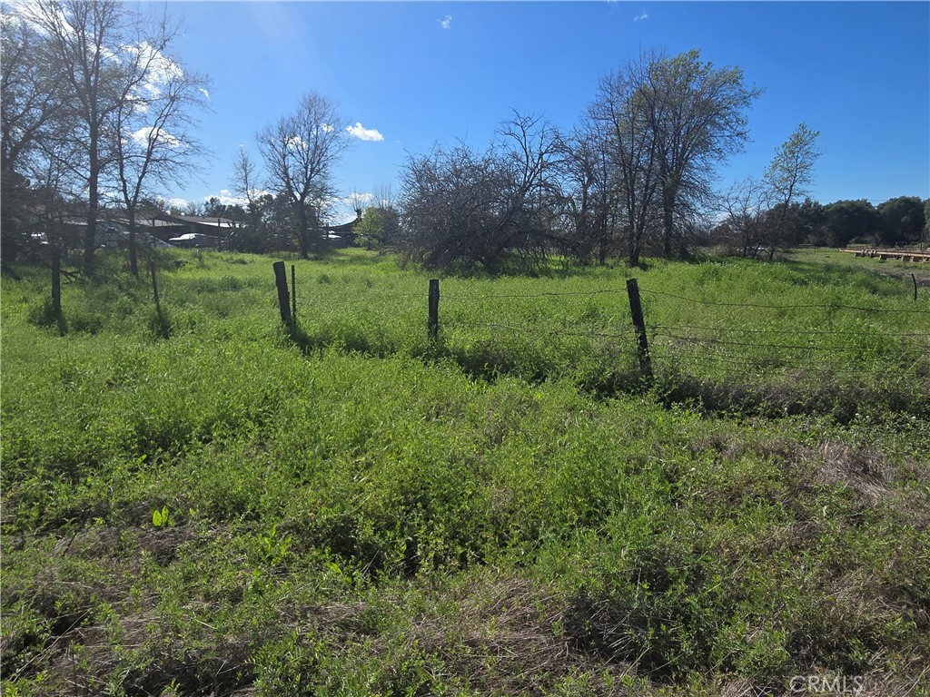 0 Brown Boulevard Property Photo 6