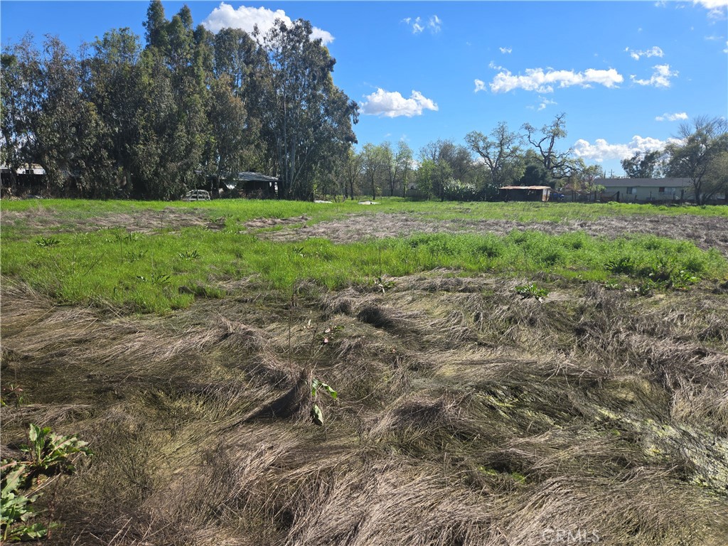 0 Brown Boulevard Property Photo 15