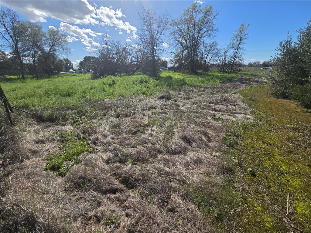 0 Brown Boulevard Property Photo 24