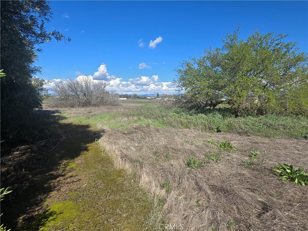 0 Brown Boulevard Property Photo 26