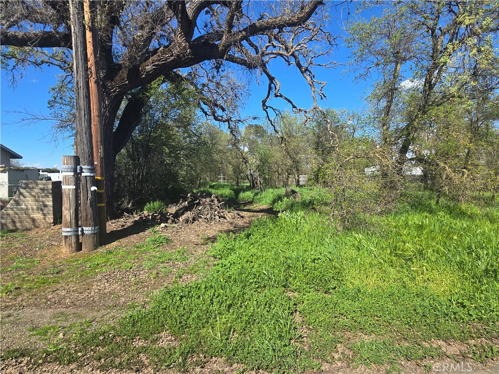 0 Brown Boulevard Property Photo 27