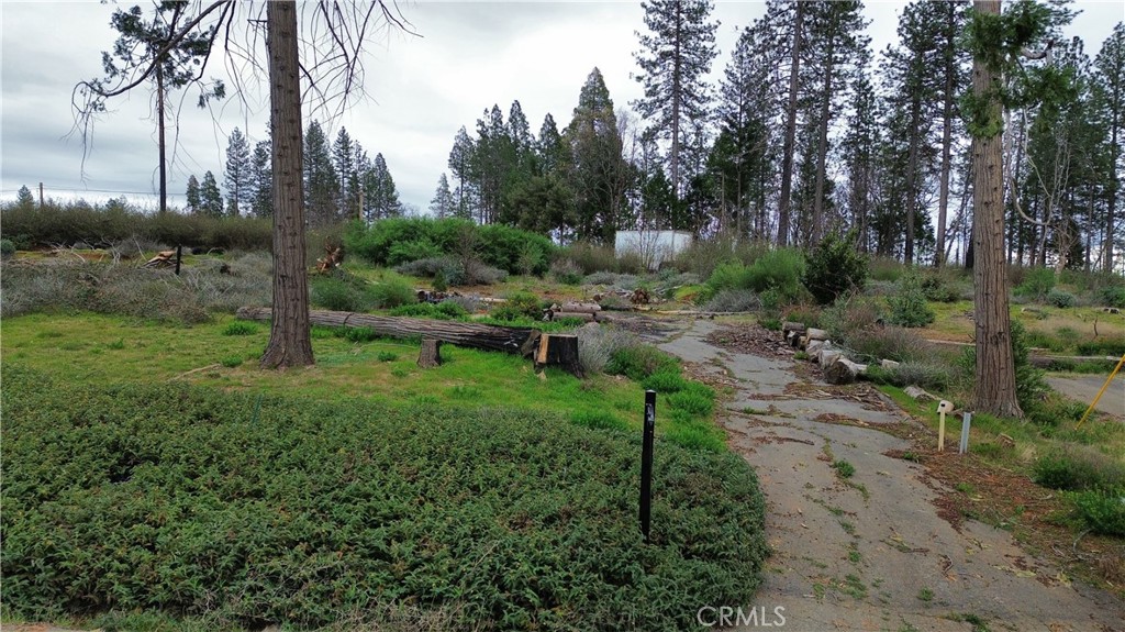 13914 Cluster Court Property Photo 1