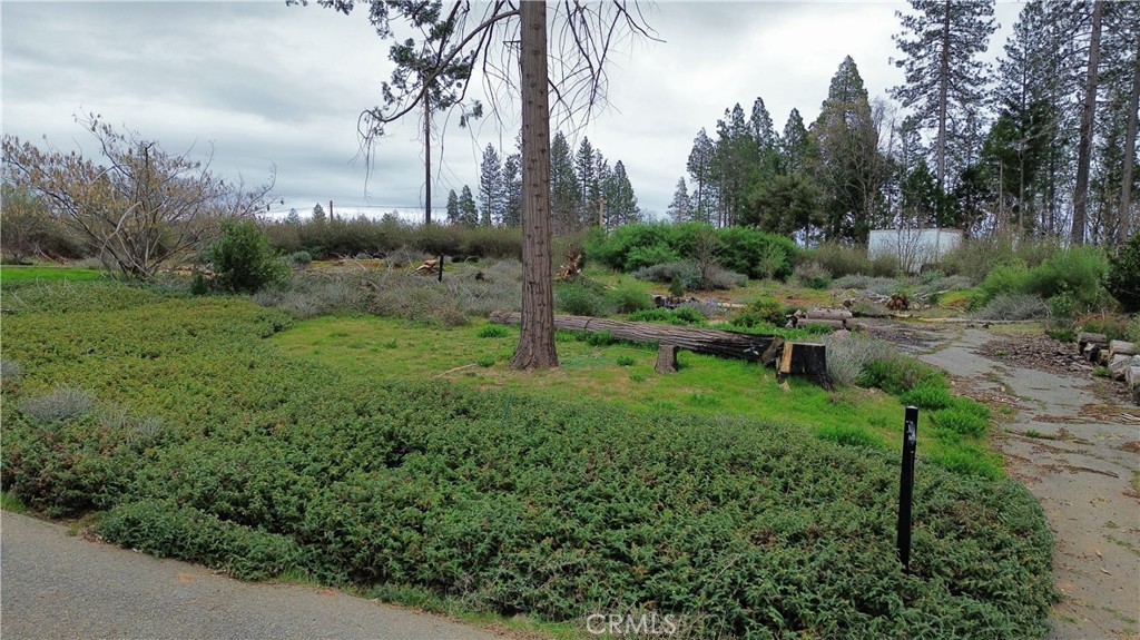13914 Cluster Court Property Photo 6