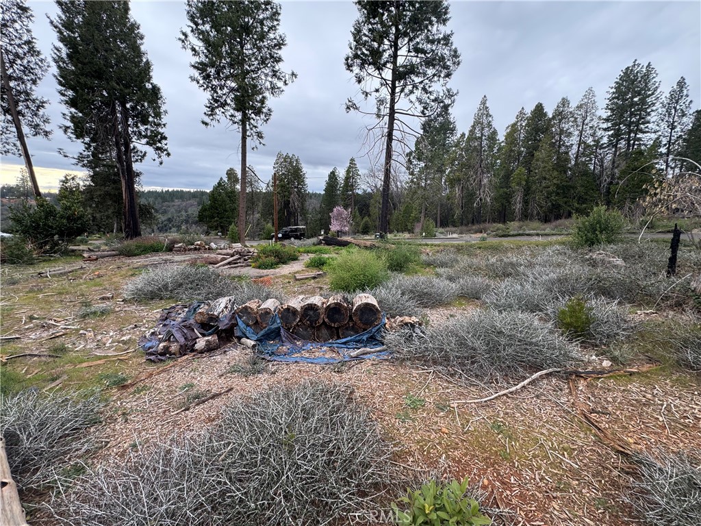 13914 Cluster Court Property Photo 8