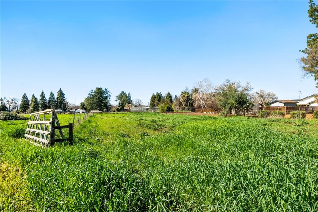 1041 Washington Property Photo 67