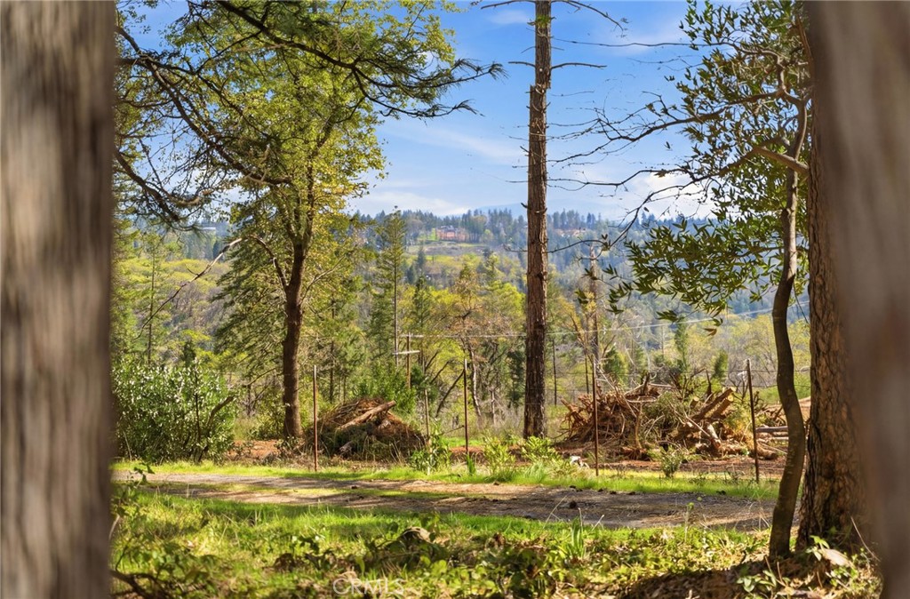 13730 Nimshew Road Property Photo 44