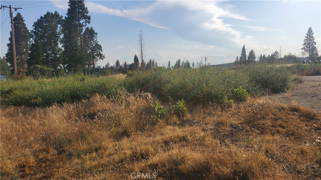 6284 Pueblo Drive Property Photo 5